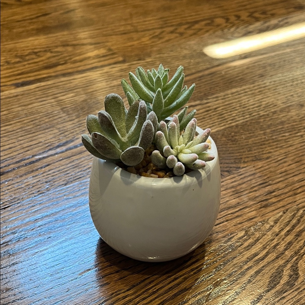 White Ceramic Planter With Faux Succulents Decor